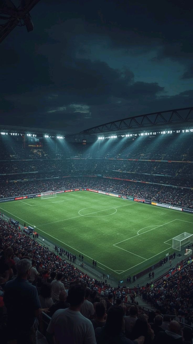 Aerial view of the stadium
